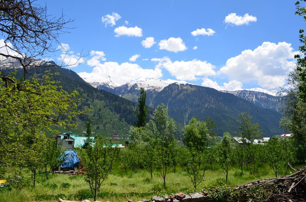 Gezellig Inn - Tree Hill Cottages & Kanyal Villas Manali  Ngoại thất bức ảnh